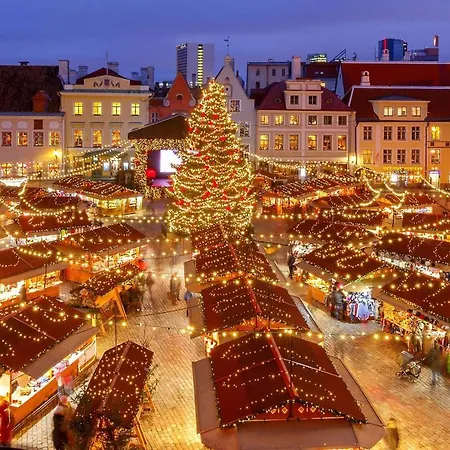 Lootsi With Sauna, Next To Old Town, Center, Port * Reval